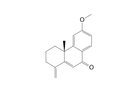 9-OXO-6-METHOXY-1-METHYLENE-4A-BETA-METHYL-1,2,3,4,4A,9-HEXAHYDRO-PHENANTHRENE