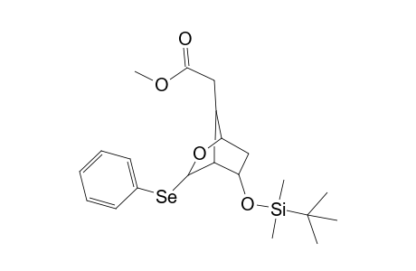 Methyl 5-[(t-butyl)dimethylsilyloxy]-3-(phenylselenyl)-2-oxabicyclo2.2.1]hept-7-ylacetate