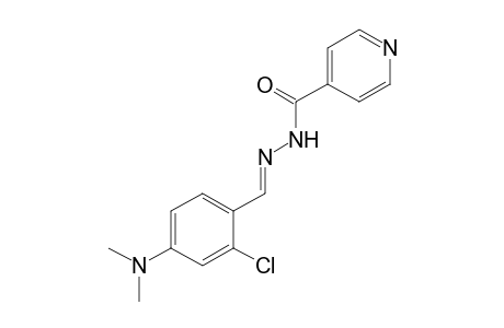 isonicotinic acid, [2-chloro-4-(dimethylamino)benzylidene]hydrazide