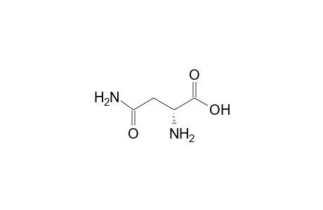 D-Asparagine