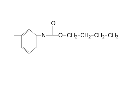 3,5-dimethylcarbanilic acid, butyl ester