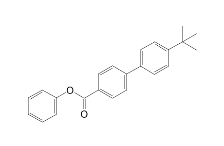 Phenyl 4'-(tert-butyl)-[1,1'-biphenyl]-4-carboxylate