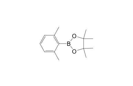 2,6-ME(2)-C6H3-B-(O2C2ME4)