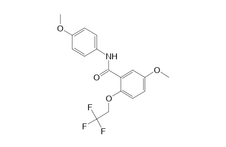 5-methoxy-2-(2,2,2-trifluoroethoxy)-p-benzanisidide