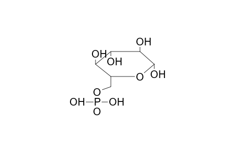 D-Glucose 6-phosphate