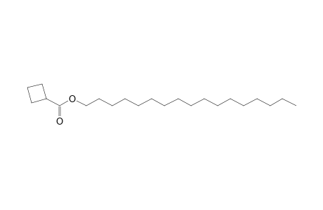 Cyclobutanecarboxylic acid, heptadecyl ester