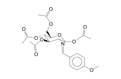 2-Deoxy-2-(4-methoxy-benzylideneamino)-1,3,4,6-tetra-O-acetyl-b-d-glucopyranose