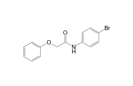 acetamide, N-(4-bromophenyl)-2-phenoxy-