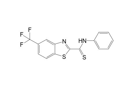 N-Phenyl-5-(trifluoromethyl)benzothiazole-2-carbothioamide