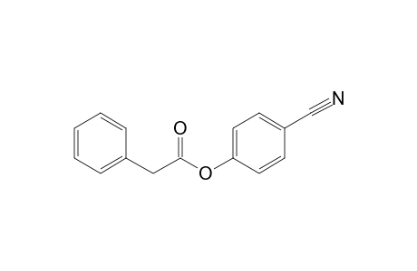 Phenylacetic acid, 4-cyanophenyl ester