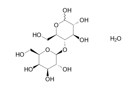 Lactose monohydrate