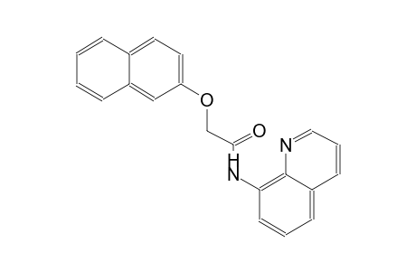 2-(2-naphthyloxy)-N-(8-quinolinyl)acetamide