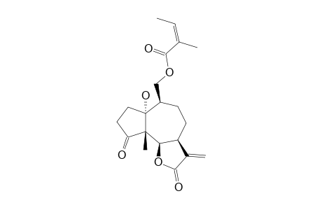 HISPITOLIDE-E