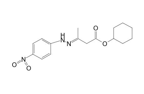 acetoacetic acid, cyclohexyl ester, p-nitrophenylhydrazone