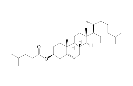 Cholesterol isocaproate