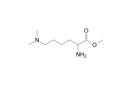 2-Amino-6-(dimethylamino)hexanoic acid methyl ester