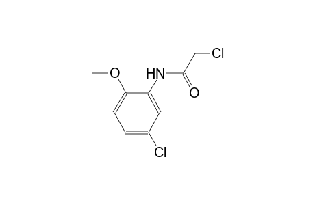2-chloro-N-(5-chloro-2-methoxyphenyl)acetamide
