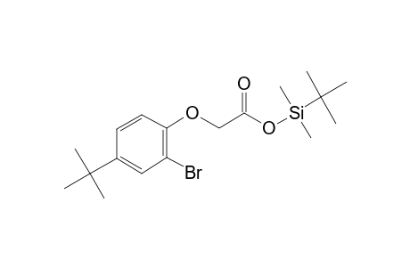 (2-Bromo-4-tert-butylphenoxy)acetic acid, tert-butyldimethylsilyl ester