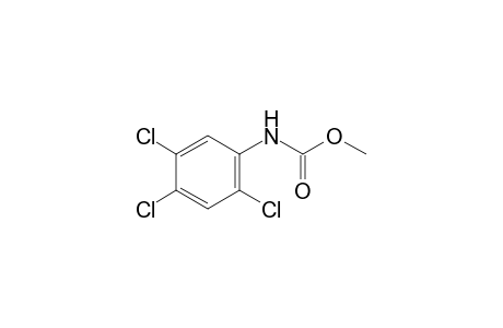 2,4,5-trichlorocarbanilic acid, methyl ester