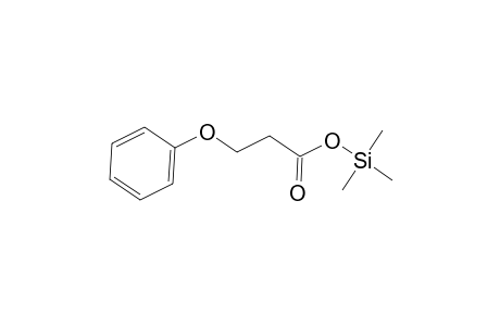 Propionic acid, 3-phenoxy-, trimethylsilyl ester