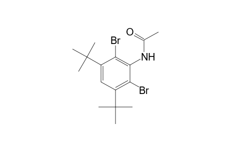 2',6'-dibromo-3',5'-di-tert-butylacetanilide