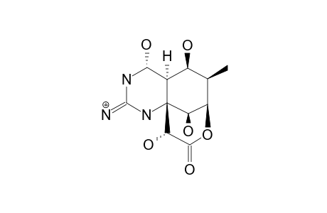 6,11-DIDEOXY-TETRODOTOXIN;10,7-LACTONE-FORM