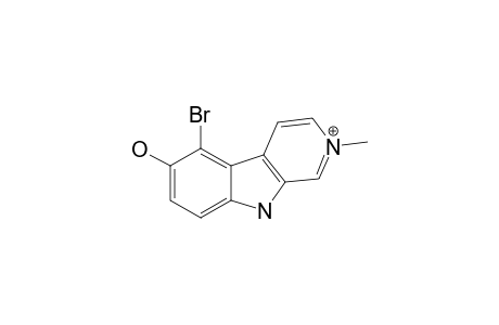 2-METHYLEUDISTOMIN-D