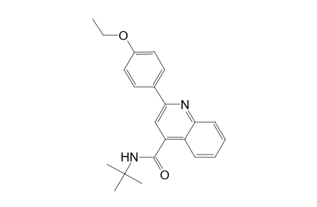 N-(tert-butyl)-2-(4-ethoxyphenyl)-4-quinolinecarboxamide