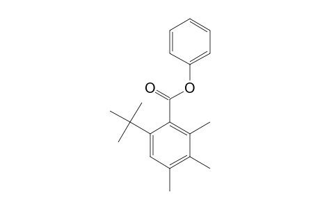 PHENYL-6-TERT.-BUTYL-2,3,4-TRIMETHYLBENZOATE