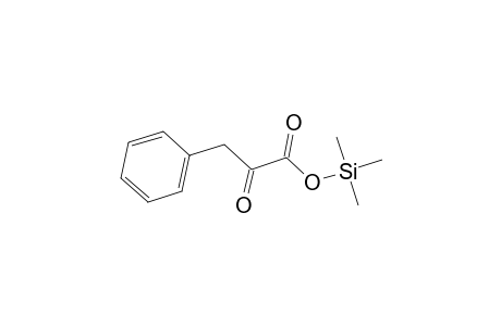 Phenylpyruvic acid, mono-TMS