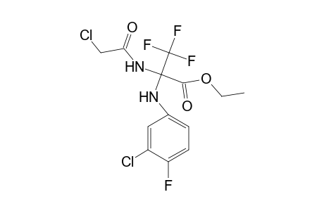 Ethyl 2-(2-chloroacetamido)-2-(3-chloro-4-fluoroanilino)-3,3,3-trifluoropropionate