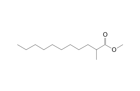 Undecanoic acid, 2-methyl-, methyl ester