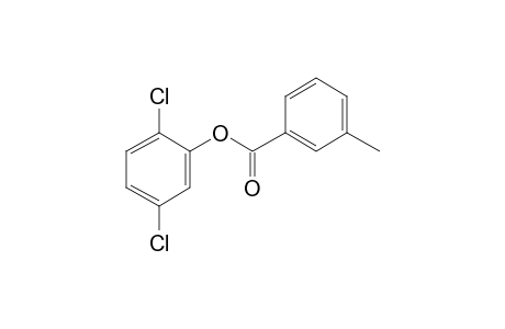 3-Methylbenzoic acid, 2,5-dichlorophenyl ester