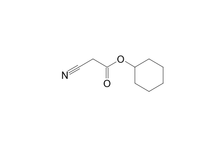 Cyano-acetic acid, cyclohexyl ester