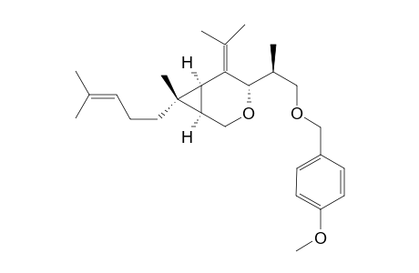 (1R,4S,6S,7R)-5-Isopropylidene-4-[(S)-2-(4-methoxybenzyloxy)-1-methylethyl]-7-methyl-7-(4-methylpent-3-enyl)-3-oxabicyclo[4.1.0]heptane
