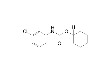 m-chlorocarbanilic acid, cyclohexyl ester