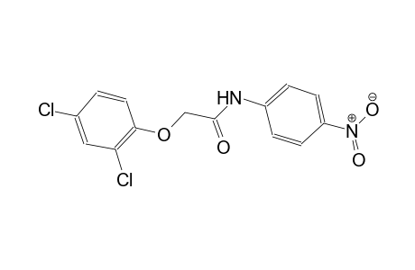 2-(2,4-dichlorophenoxy)-N-(4-nitrophenyl)acetamide
