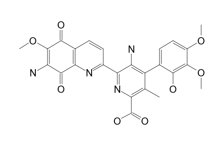 STREPTONIGRIN;5-AMINO-4-(2-HYDROXY-3,4-DIMETHOXYPHENYL)-6-[7-AMINO-6-METHOXY-5,8-DIOXO-5,8-DIHYDROQUINOLIN-2-YL]-3-METHYLPYRIDINE