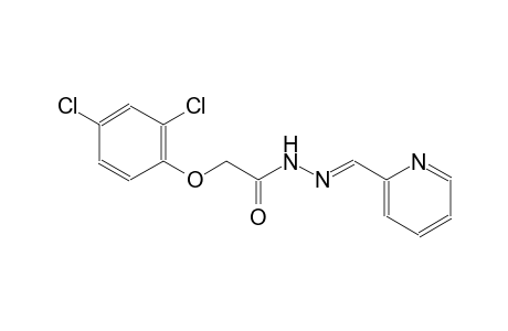 2-(2,4-dichlorophenoxy)-N-(pyridin-2-ylmethylideneamino)acetamide