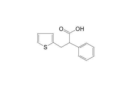 2-Phenyl-3-(2-thienyl)propanoic acid