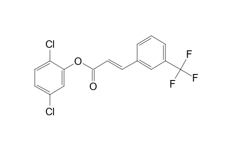 Trans-3-trifluoromethylcinnamic acid, 2,5-dichlorophenyl ester