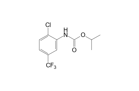 2-chloro-5-(trifluoromethyl)carbanilic acid, isopropyl ester