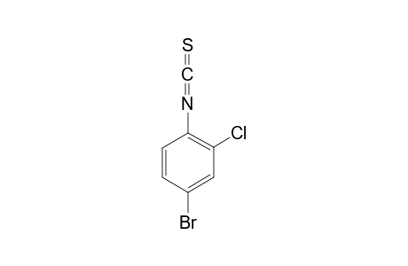 4-Bromo-2-chlorophenyl isothiocyanate