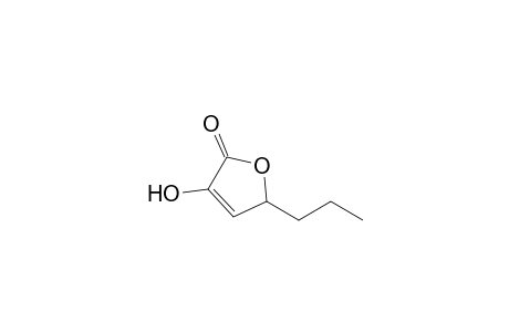 4-hydroxy-2-propyl-2H-furan-5-one