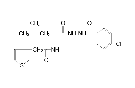 1-(p-chlorobenzoyl)-2-{N-[(3-thienyl)acetyl]leucyl}hydrazine