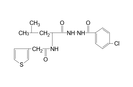 1-(p-chlorobenzoyl)-2-{N-[(3-thienyl)acetyl]leucyl}hydrazine