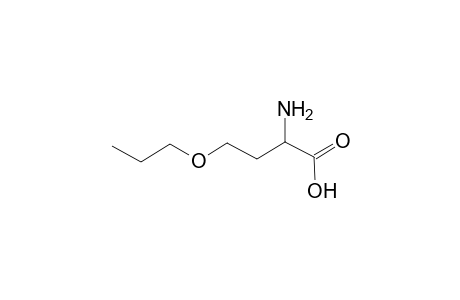 L-Homoserine, O-propyl-