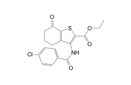 Ethyl 3-[(4-chlorobenzoyl)amino]-7-oxo-4,5,6,7-tetrahydro-1-benzothiophene-2-carboxylate