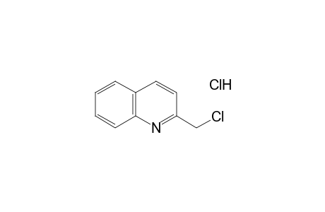 2-(Chloromethyl)quinoline hydrochloride