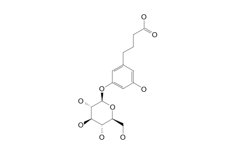 GREVILLOSIDE-E